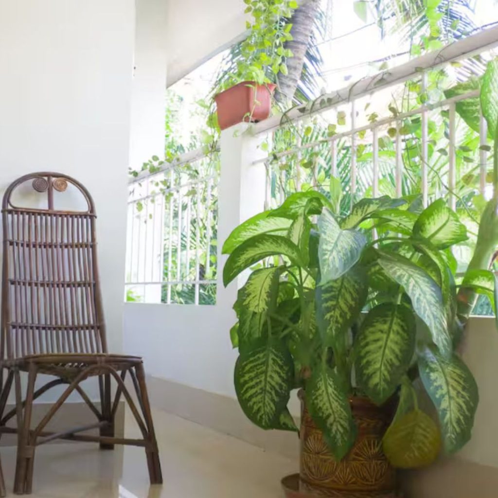 Why Choose a Homestay Over a Hotel?